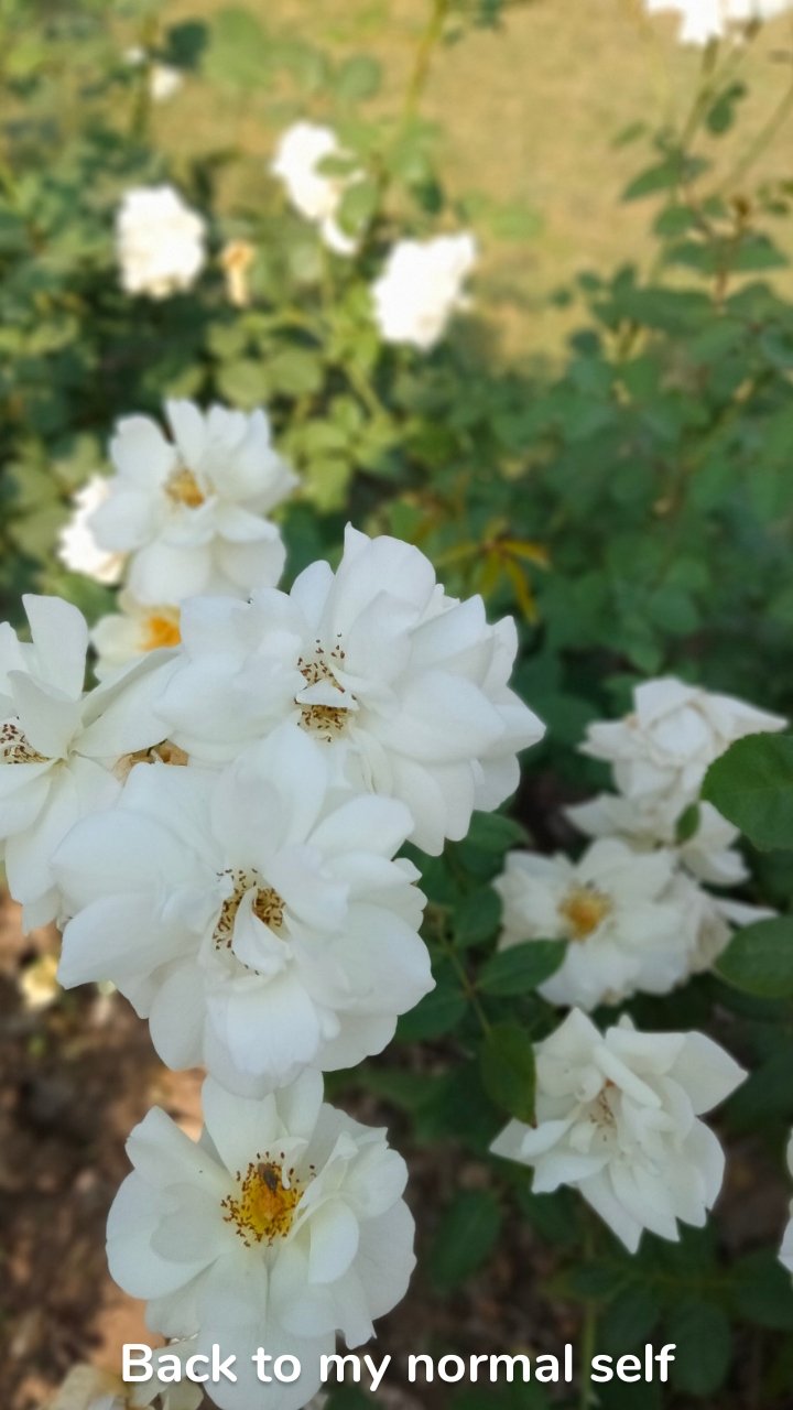 Back to my normal self 