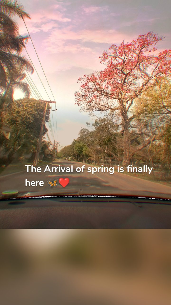The Arrival of spring is finally here 🦋❤️