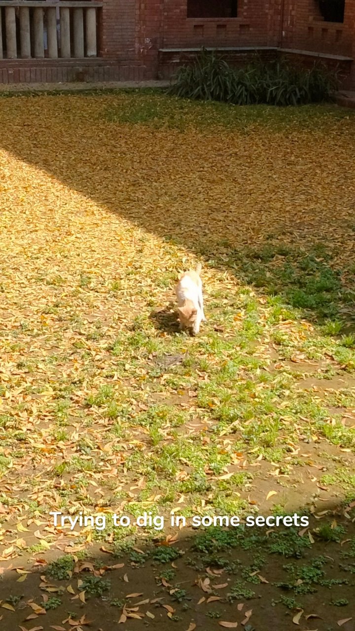 Trying to dig in some secrets 